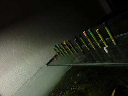 20100510 232508